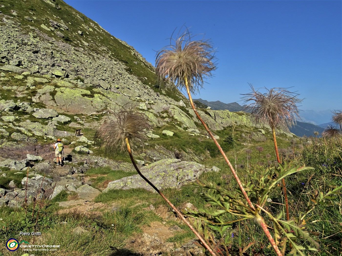 28 In discesa sul sent. 161 per il Passo del Forcellino in Val Bomino.JPG